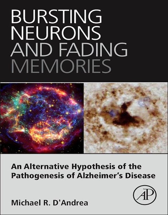 Bursting Neurons and Fading Memories - cover