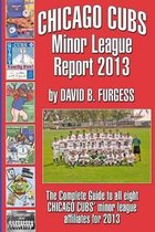 Chicago Cubs' Minor League Report 2013