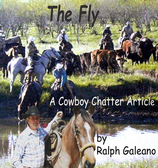 Cowboy Chatter Articles 3 - Cowboy Chatter article: The Fly - cover