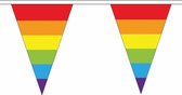 Polyester vlaggenlijnen regenboog vlaggetjes 5 meter - feestartikelen en versieringen