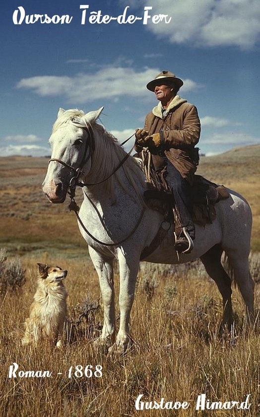 Oeuvres de Gustave Aimard - Ourson Tête-de-Fer - cover