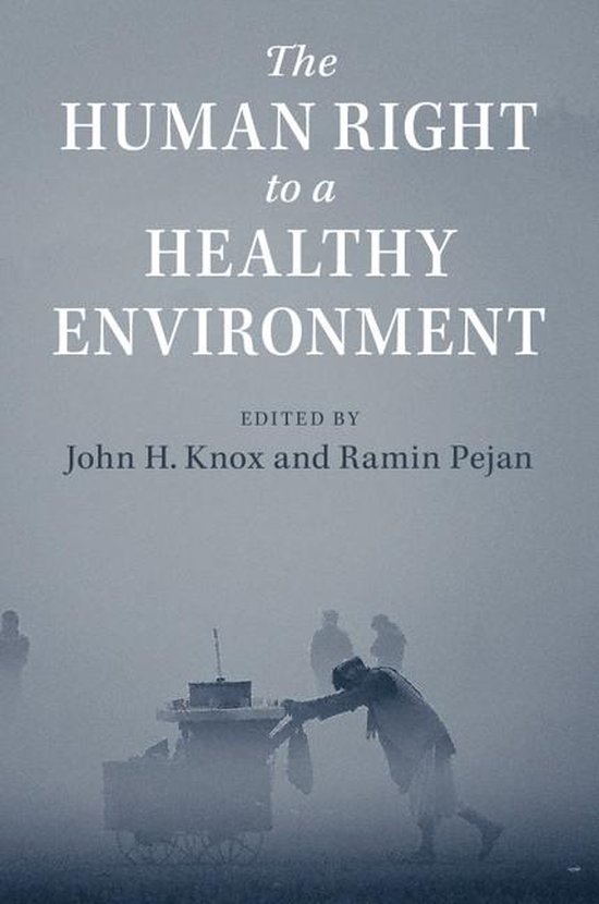 The Human Right to a Healthy Environment - cover