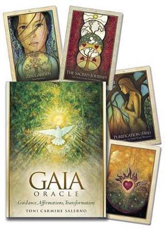 L'Oracle de Gaia, Toni Carmine Salerno | 9780738738994 | Livres | bol
