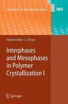 Interphases and Mesophases in Polymer Crystallization I