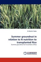 Summer Groundnut in Relation to N Nutrition to Transplanted Rice
