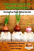Introduction to Hydroponics: Growing Your Plants Without Any Soil