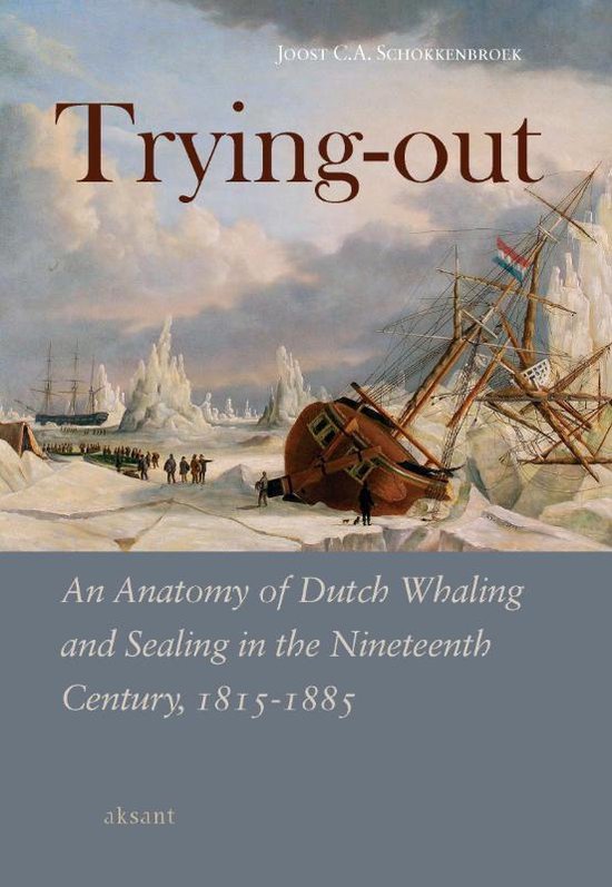 Cover van het boek 'Trying-out / druk 1'