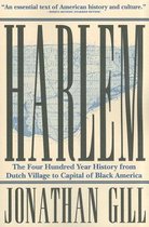 Alice Attie: Harlem On the Verge: Alice Attie, Robin D. G.