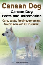 Canaan Dog. Canaan Dog Facts and Information. Canaan Dog Care, Costs, Feeding, Grooming, Training, Health All Included.