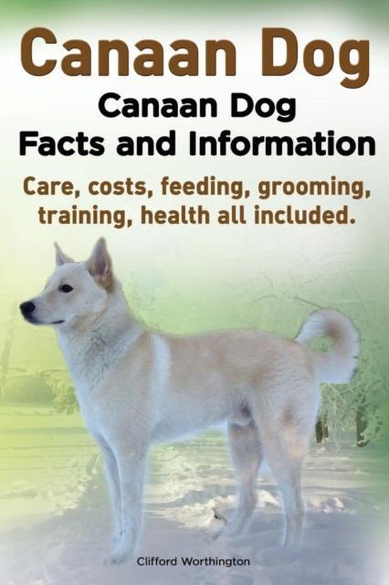 Canaan Dog. Canaan Dog Facts and Information. Canaan Dog Care, Costs