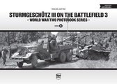Sturmgeschütz III On The Battlefield 3