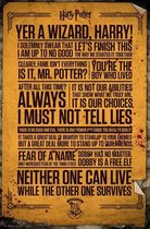 HARRY POTTER - Poster 61X91 - Quotes
