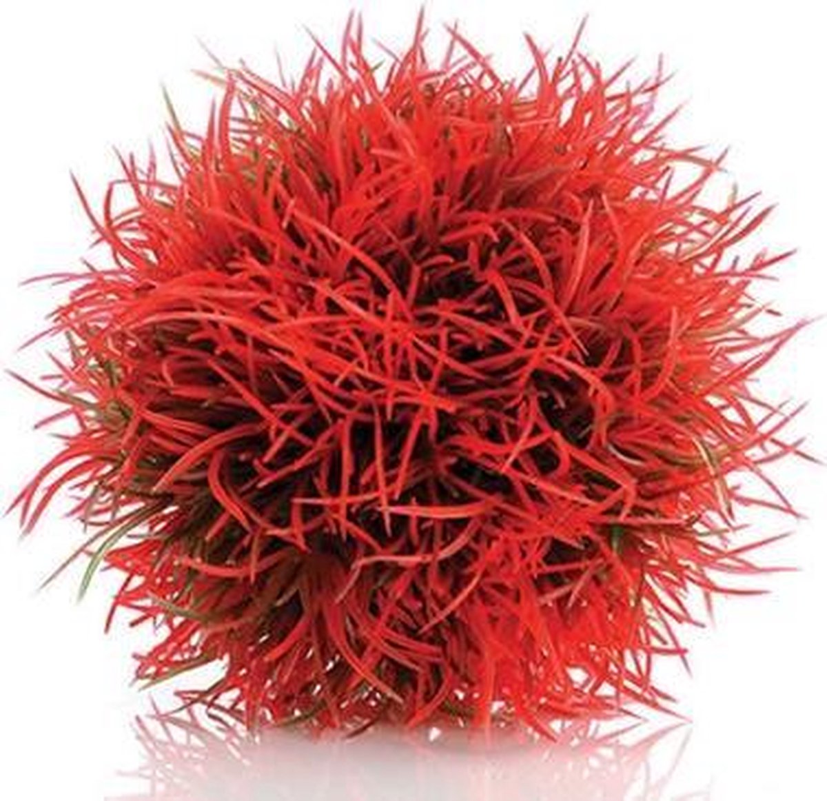 biOrb decobal rood