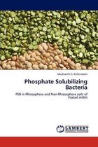 Phosphate Solubilizing Bacteria