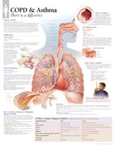 COPD & Asthma Paper Poster