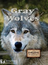 Eye to Eye with Endangered Species - Gray Wolves