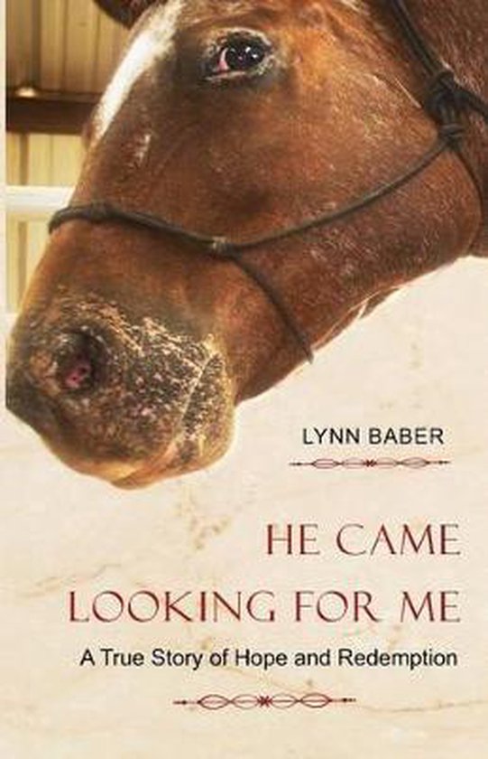 Gospel Horse- He Came Looking for Me - cover