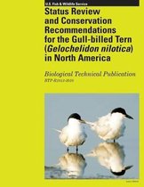 Status Review and Conservation Recommendations for the Gull-Billed Tern (Gelochelidon Nilotica) in North America
