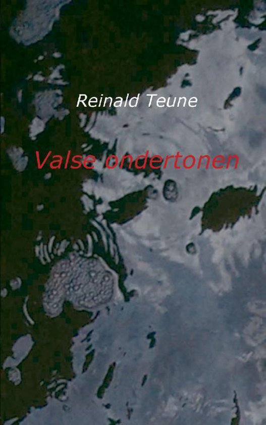 Cover van het boek 'Valse ondertonen'