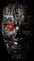 Poster Terminator Genisys