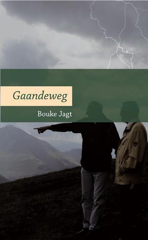 Cover van het boek 'Gaandeweg'