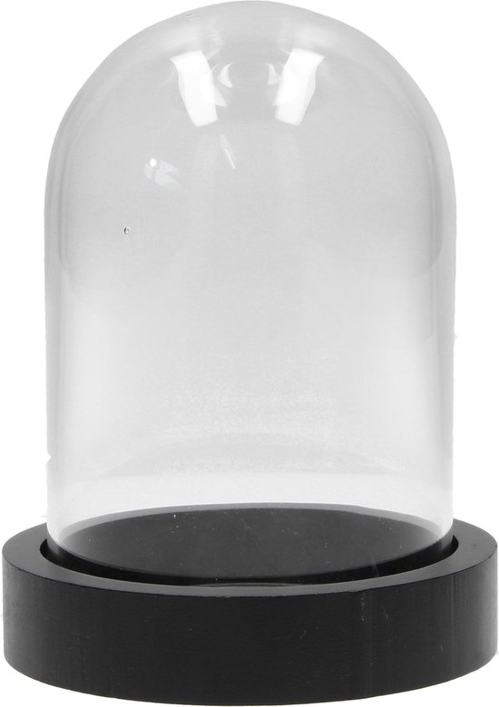 Glazen Stolp met Zwarte Houten Voet – 16x8x2cm | Decoratie voor in de  Woonkamer | bol.com