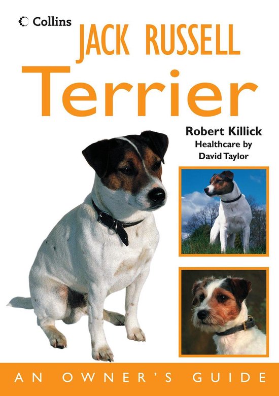 Jack Russell Terrier - cover