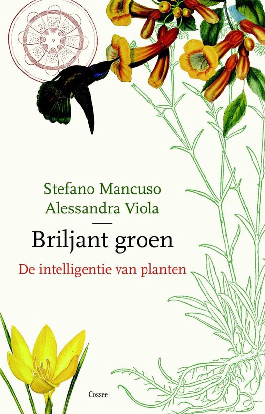 Briljant groen - cover