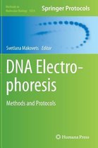 DNA Electrophoresis