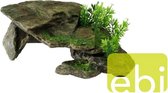 Steen begroeid met plantjes
