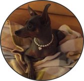 'Maggy Love' - ketting met zoetwaterparels voor honden - 25 cm