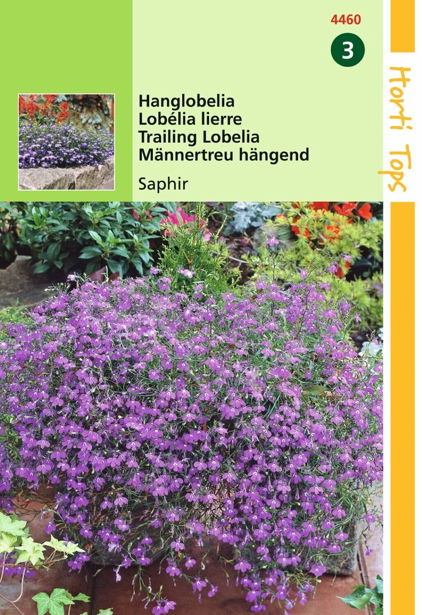 Hortitops 2 stuks Lobelia Pendula Saphir