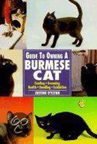 Guide To Owning A Burmese Cat