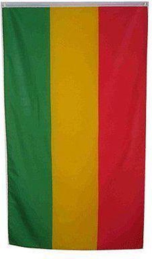 Vlag Carnaval in Limburg rood-geel-groen 90 x 150 cm | bol.com