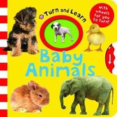 Baby Animals