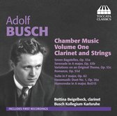 Bettina Beigelbeck & Busch kollegium Karlsruhe - Busch: Chamber Music For Clarinet And Strings (CD)