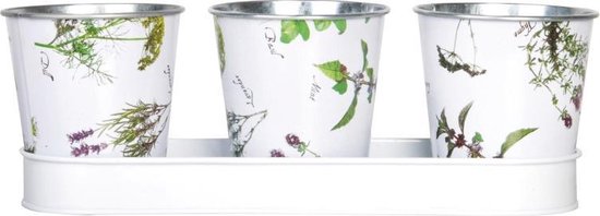 Bloempotjes, zink, twee potjes in tray | Bloempotten, zink | Dille