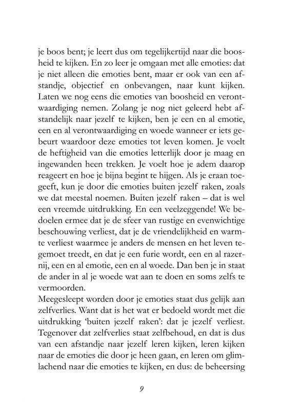 Boekpagina die verder ingaat op het kijken naar jezelf en emoties.