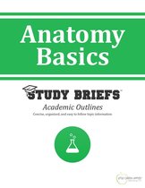 Anatomy Basics