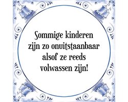Tegeltje met Spreuk (Tegeltjeswijsheid): Sommige kinderen zijn zo onuitstaanbaar alsof ze reeds volwassen zijn! + Kado verpakking & Plakhanger
