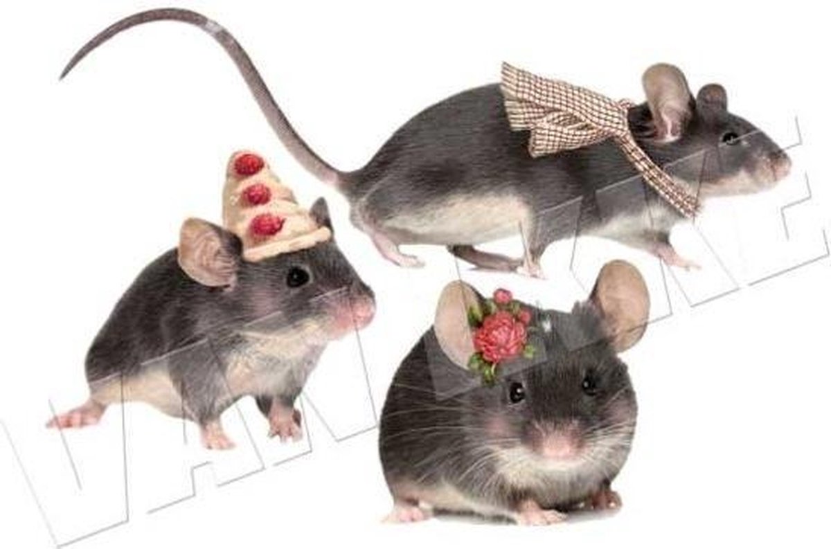 Muursticker Kleine vriendjes