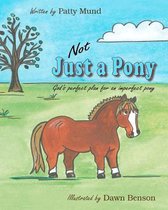 Not Just a Pony