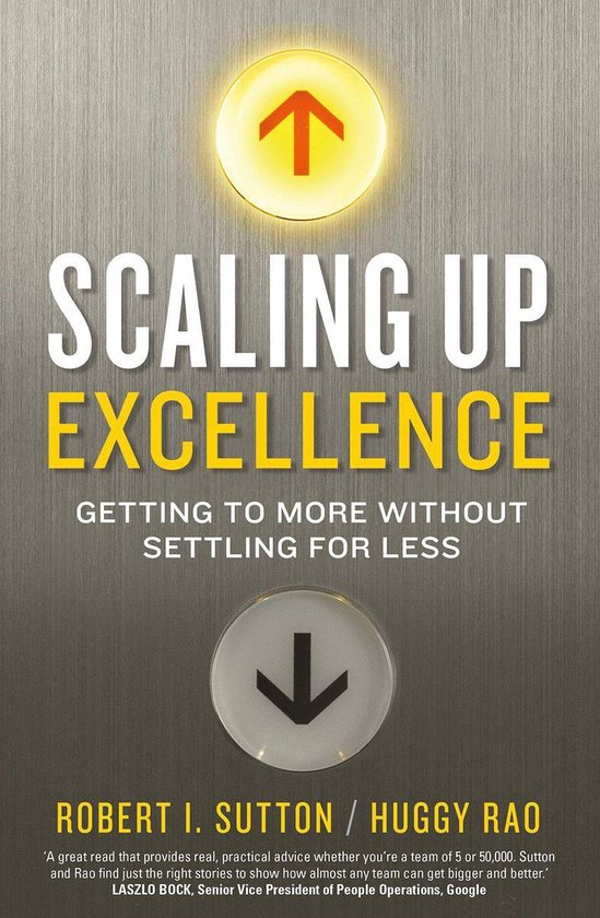 Scaling up Excellence - cover