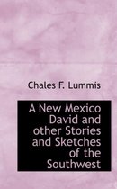 A New Mexico David and Other Stories and Sketches of the Southwest