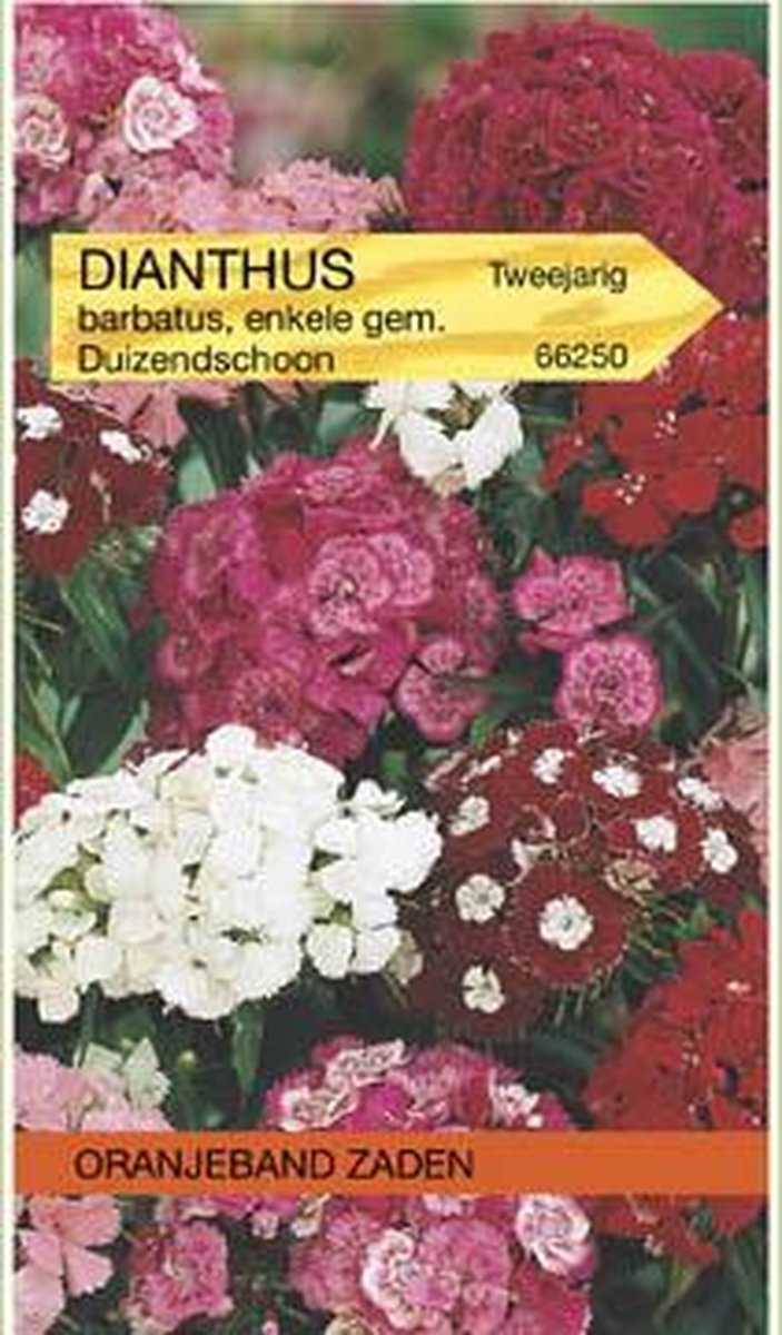 Dianthus, Duizendschoon enkelbloemig gemengd