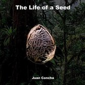 The Life of a Seed