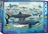 Eurographics Puzzel Haaien - 1000 stukjes