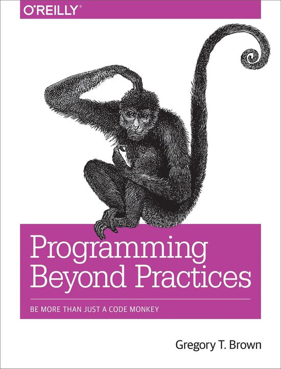 Programming Beyond Practices - cover