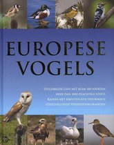 Europese vogels