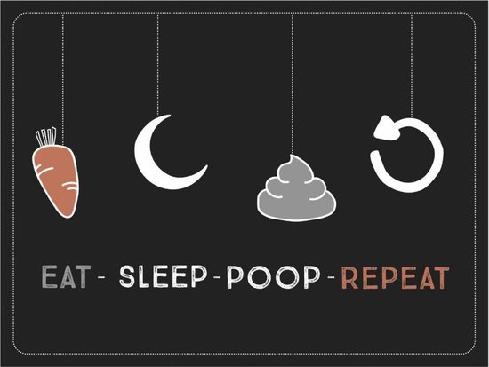 NoNo Cards Kinderkamer poster:  Eat-sleep-poop-repeat